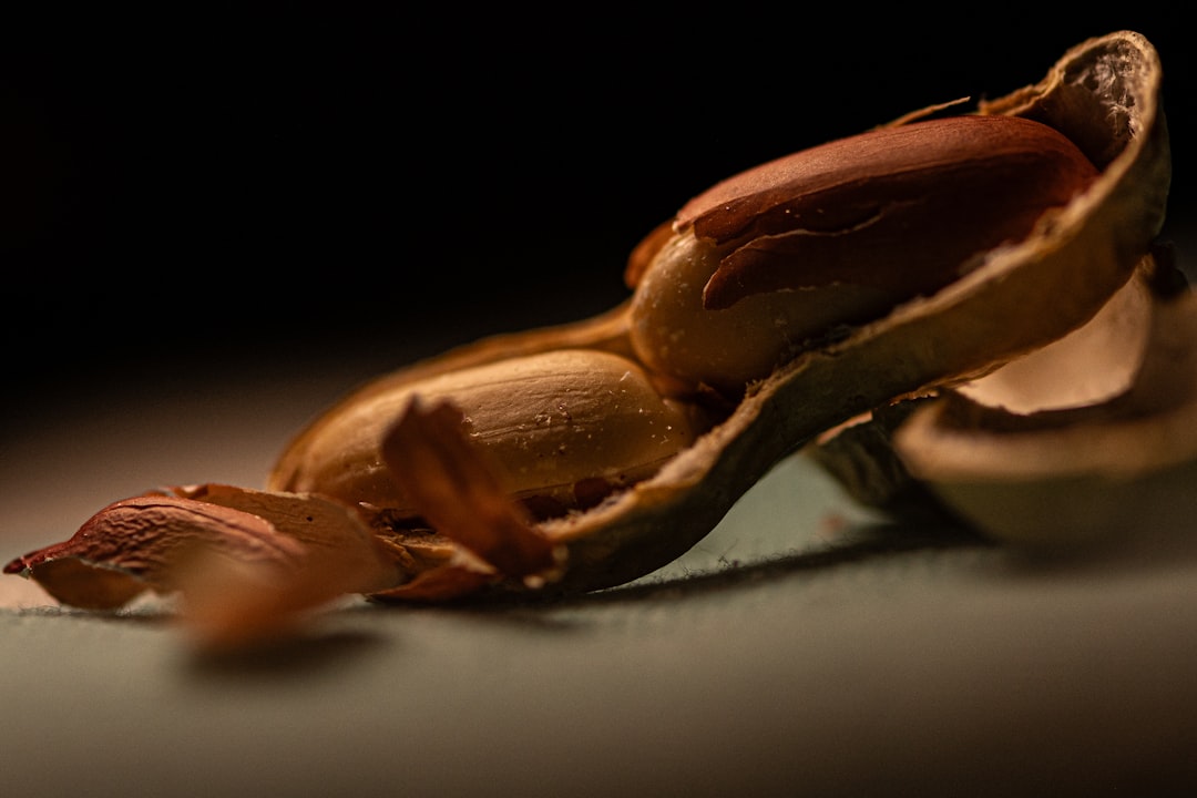 Zo houd je je huis vrij van vlooien